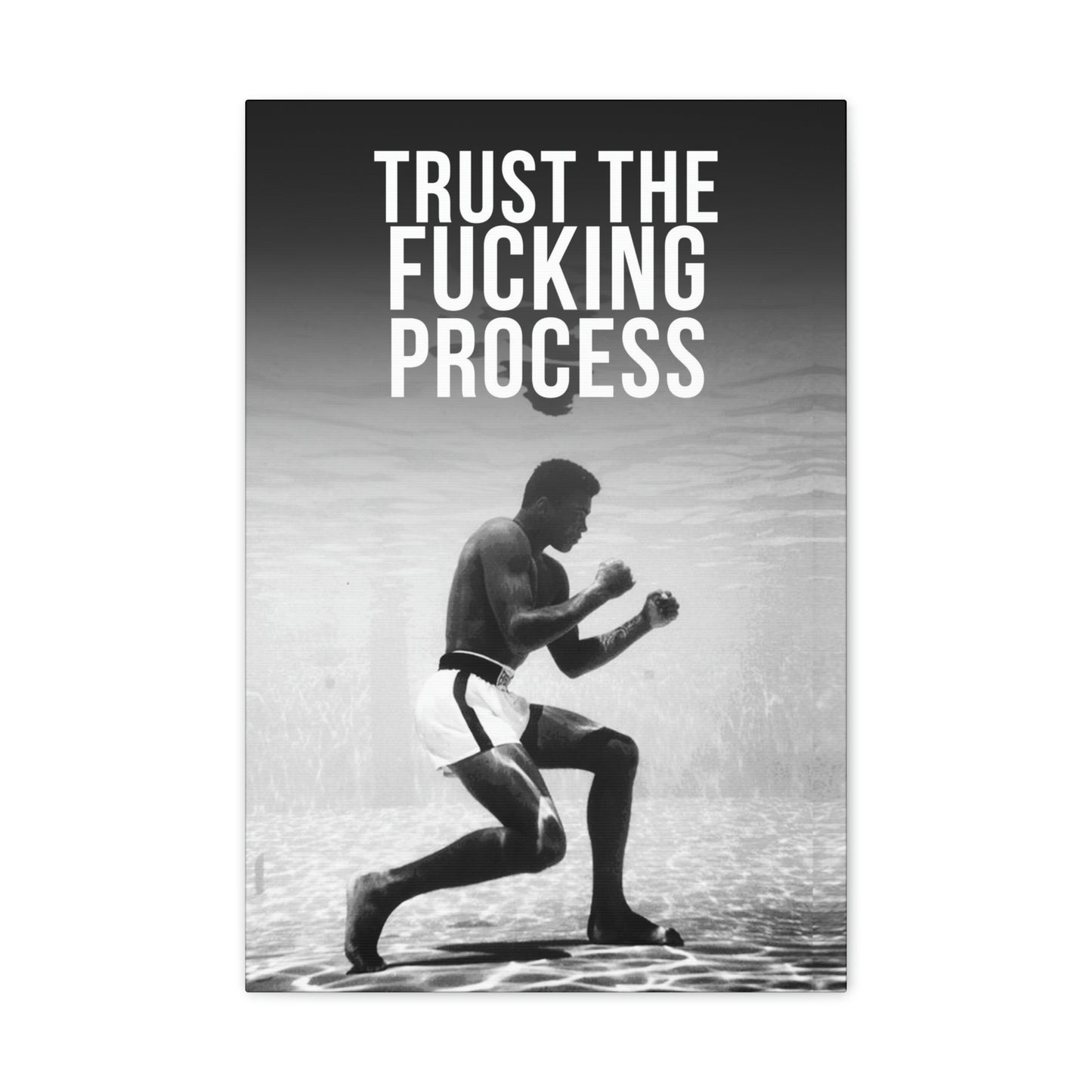 Trust The Fu**ing Process | Canvas | Hustle House Prints