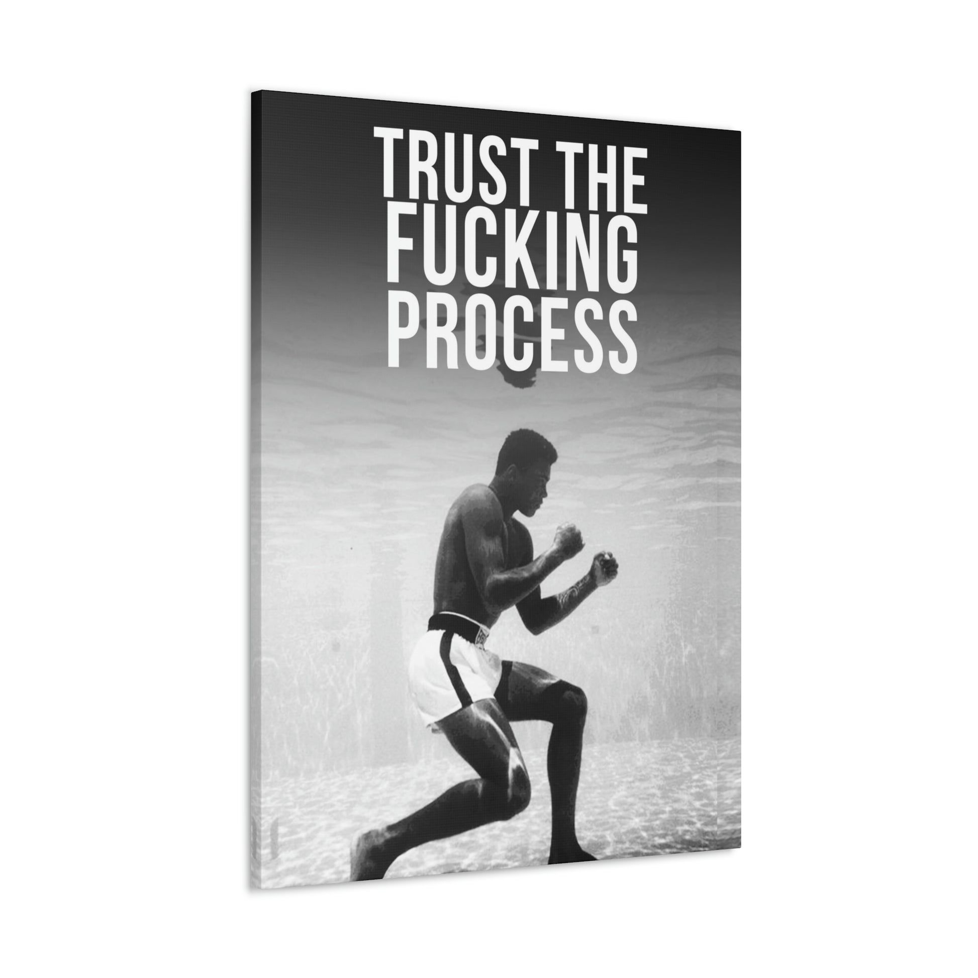 Trust The Fu**ing Process | Canvas | Hustle House Prints