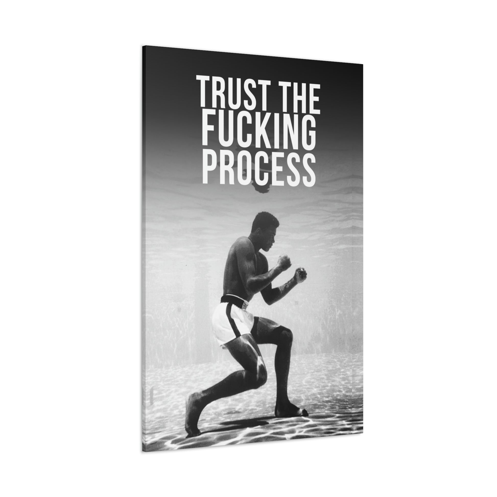 Trust The Fu**ing Process | Canvas | Hustle House Prints