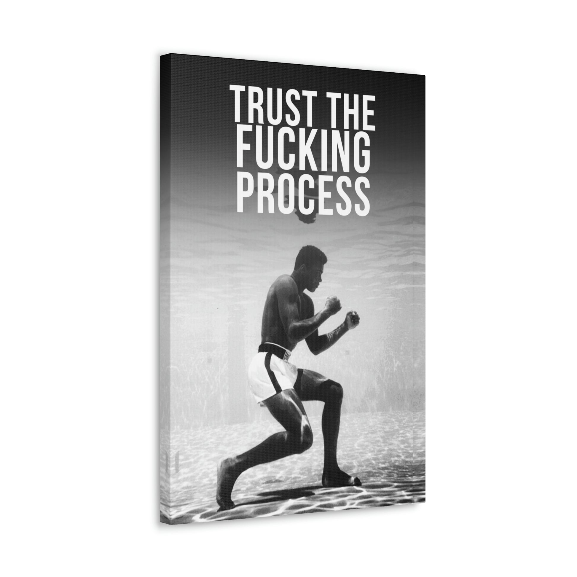 Trust The Fu**ing Process | Canvas | Hustle House Prints
