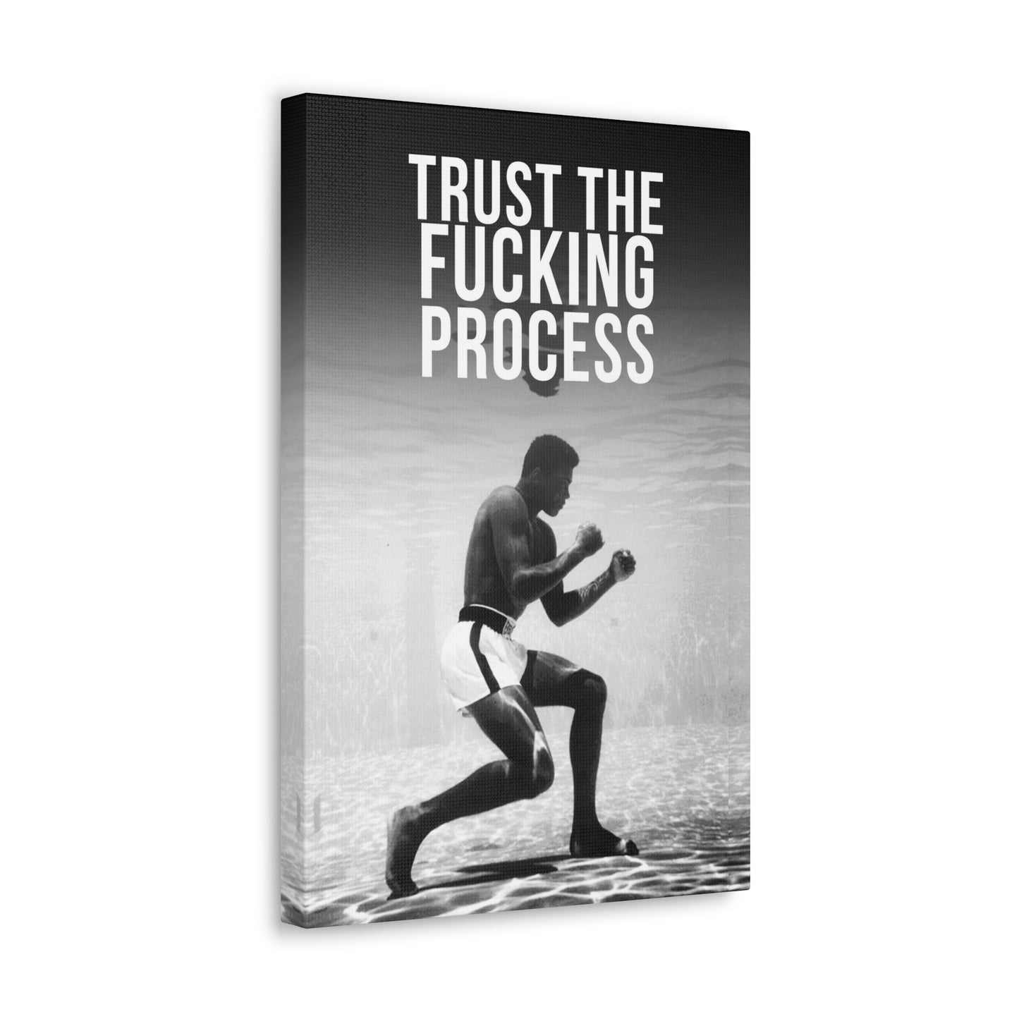 Trust The Fu**ing Process | Canvas | Hustle House Prints