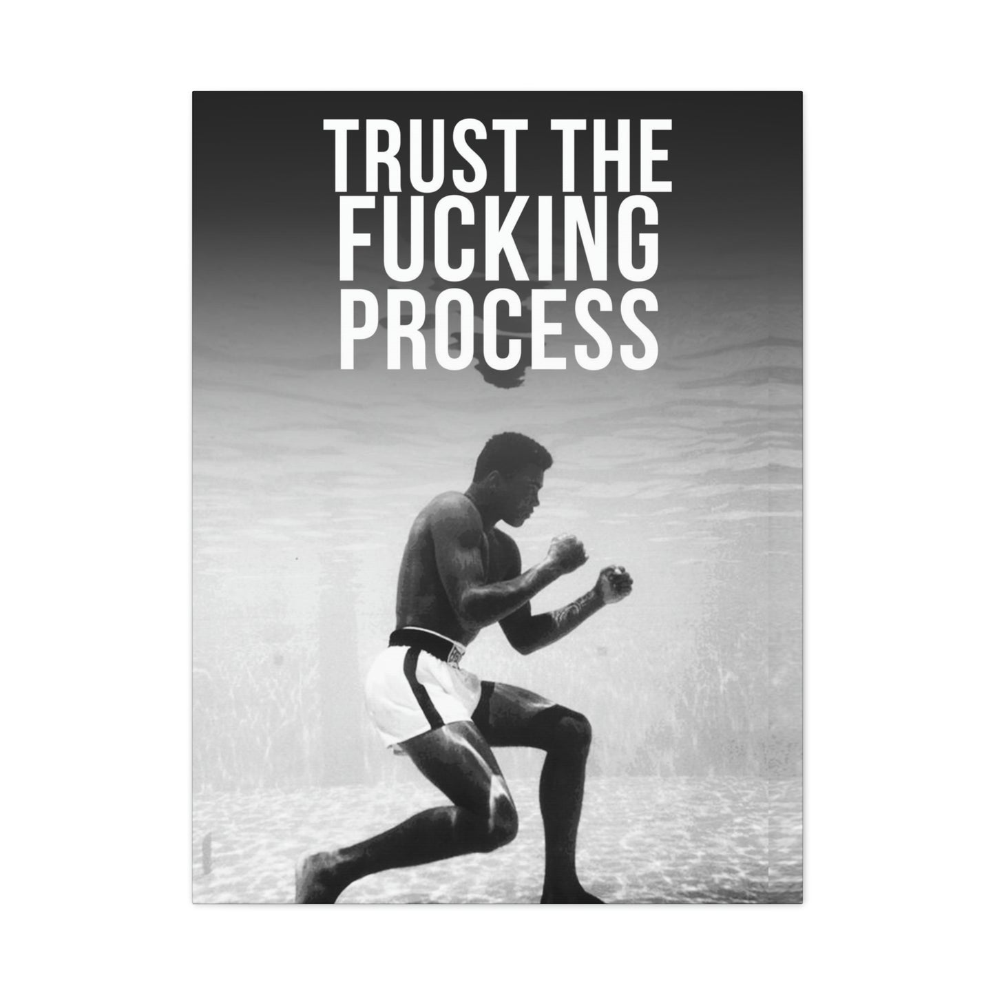Trust The Fu**ing Process | Canvas | Hustle House Prints