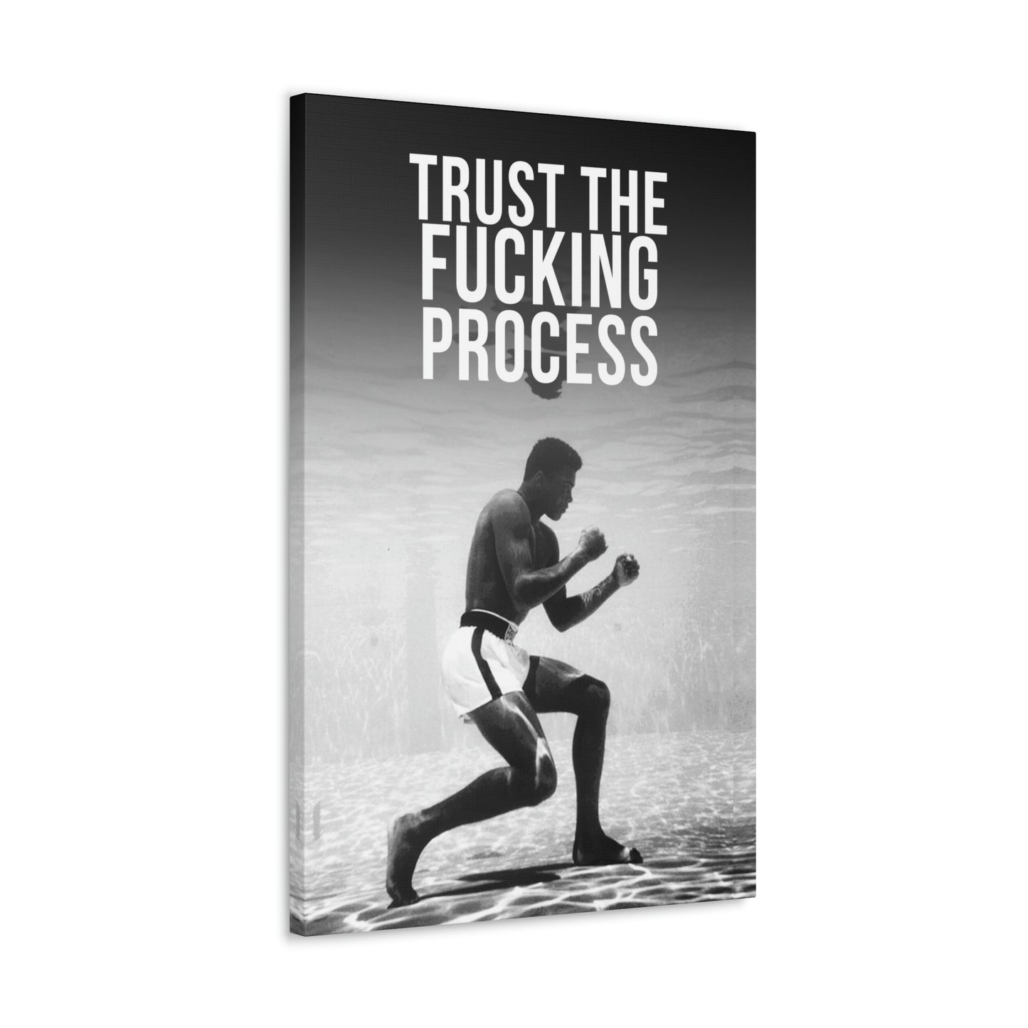 Trust The Fu**ing Process | Canvas | Hustle House Prints