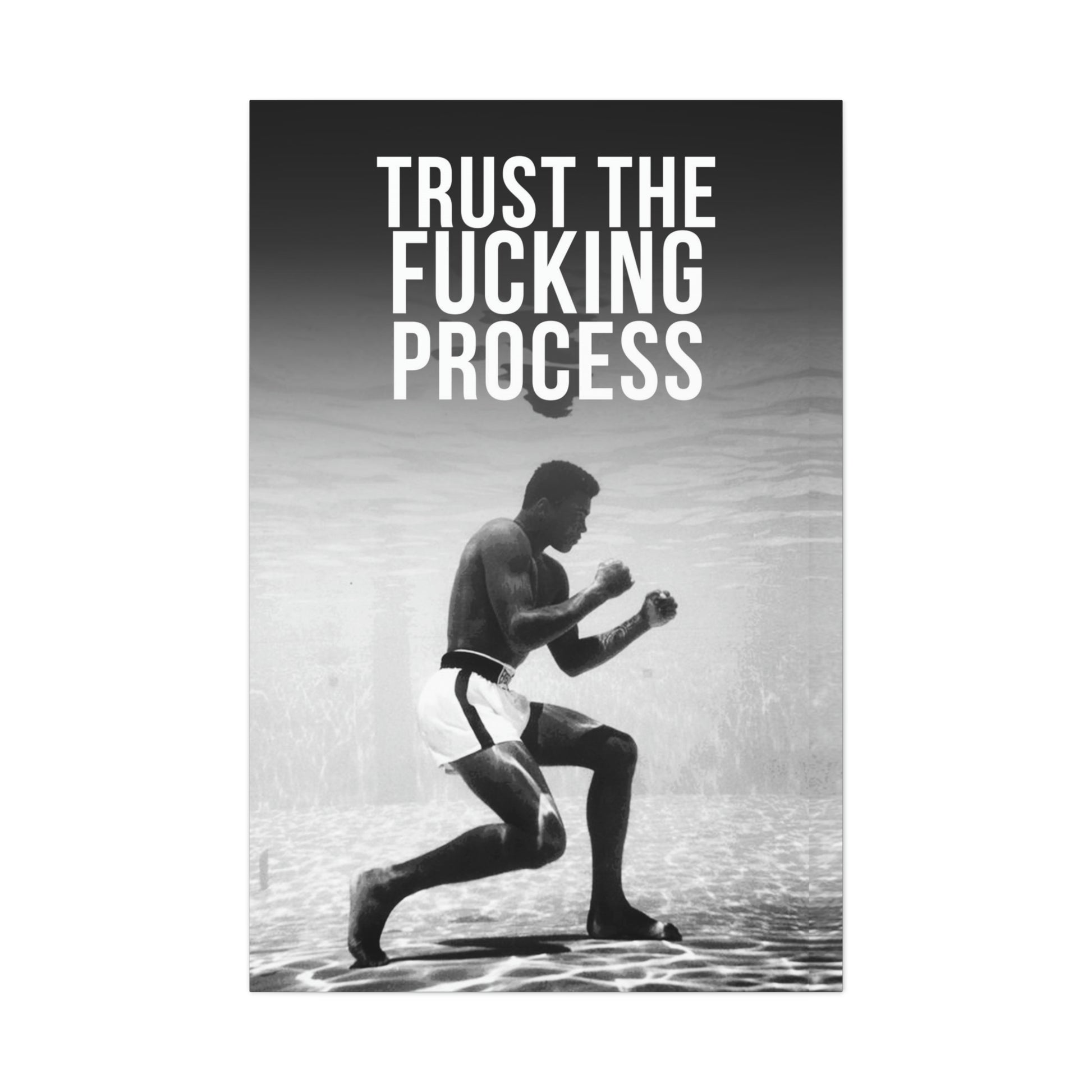 Trust The Fu**ing Process | Canvas | Hustle House Prints